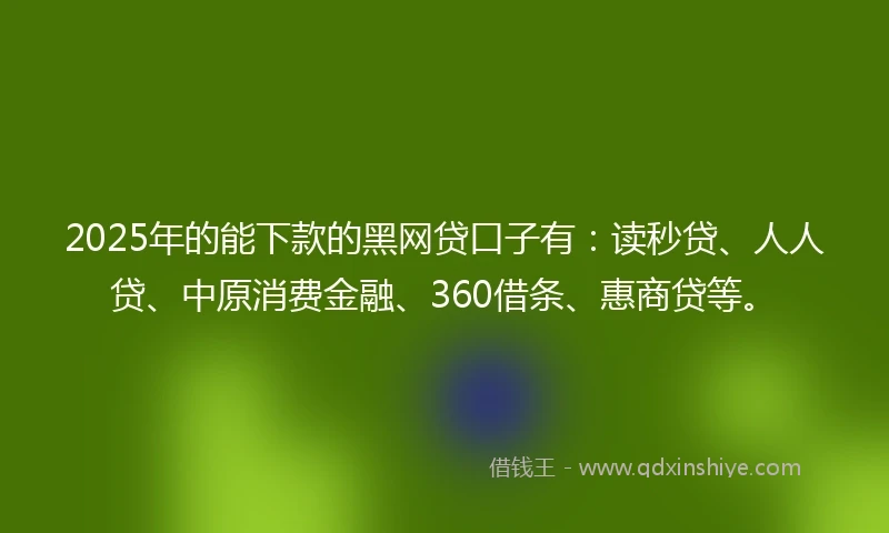 2025年的能下款的黑网贷口子有：读秒贷、人人贷、中原消费金融、360借条、惠商贷等。