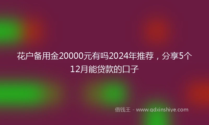 花户备用金20000元有吗2024年推荐，分享5个12月能贷款的口子