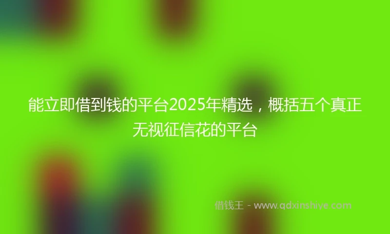 能立即借到钱的平台2025年精选，概括五个真正无视征信花的平台