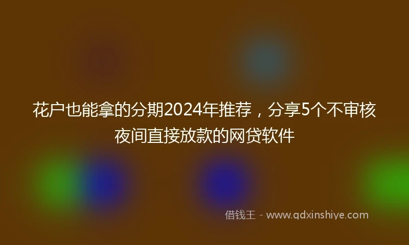 花户也能拿的分期2024年推荐，分享5个不审核夜间直接放款的网贷软件