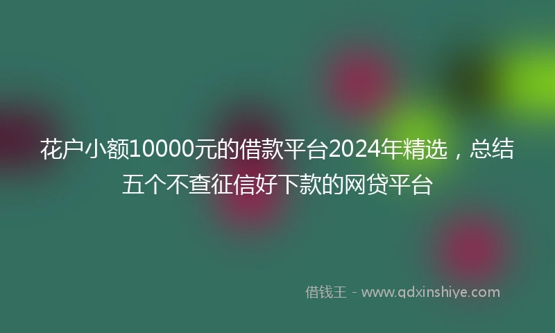 花户小额10000元的借款平台2024年精选，总结五个不查征信好下款的网贷平台