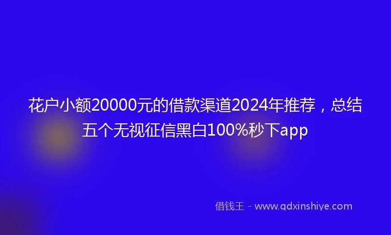 花户小额20000元的借款渠道2024年推荐，总结五个无视征信黑白100%秒下app