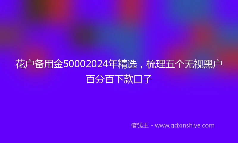 花户备用金50002024年精选，梳理五个无视黑户百分百下款口子