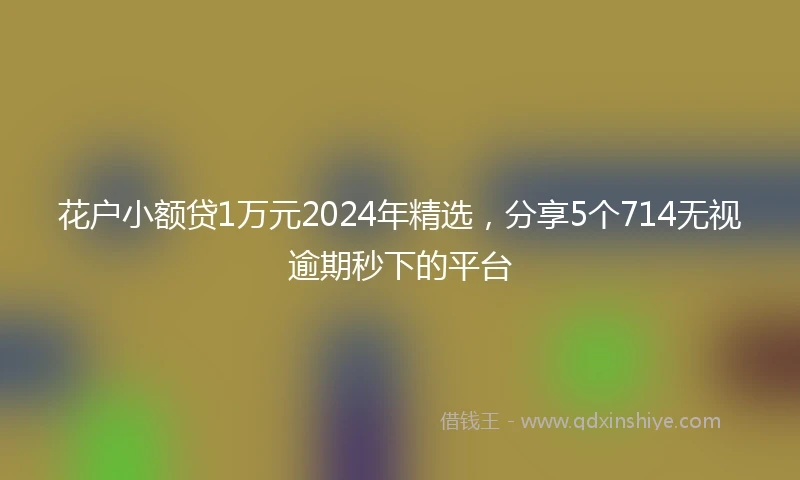 花户小额贷1万元2024年精选，分享5个714无视逾期秒下的平台
