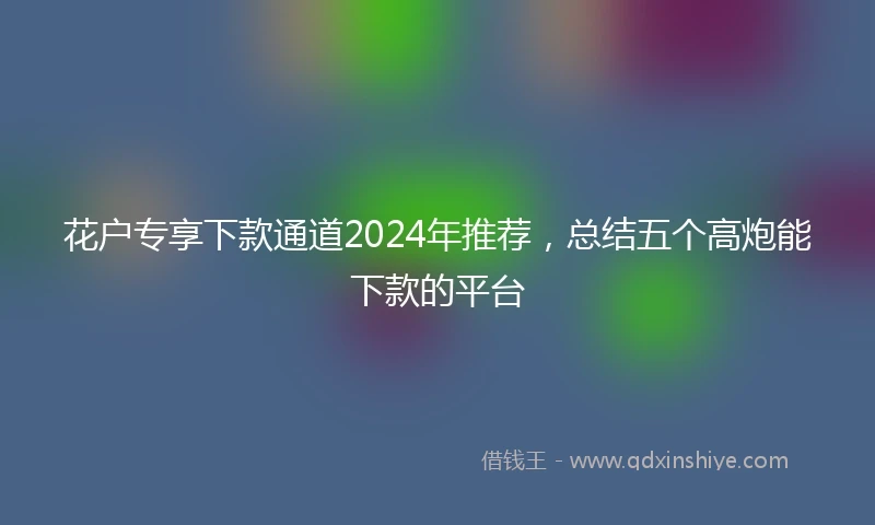 花户专享下款通道2024年推荐，总结五个高炮能下款的平台