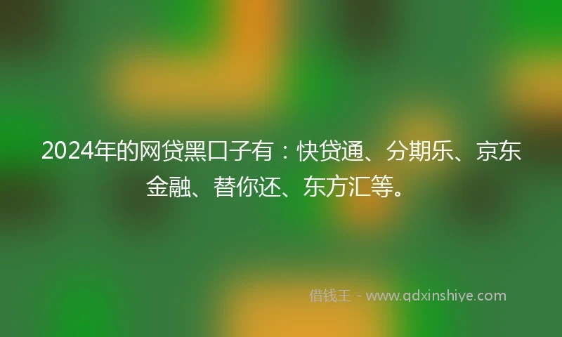 2024年的网贷黑口子有：快贷通、分期乐、京东金融、替你还、东方汇等。