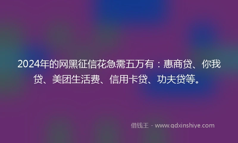 2024年的网黑征信花急需五万有：惠商贷、你我贷、美团生活费、信用卡贷、功夫贷等。