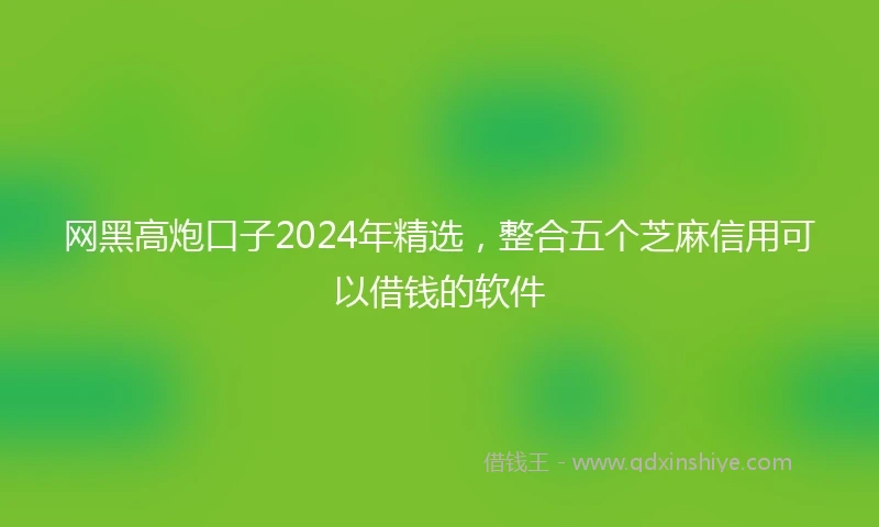 网黑高炮口子2024年精选，整合五个芝麻信用可以借钱的软件