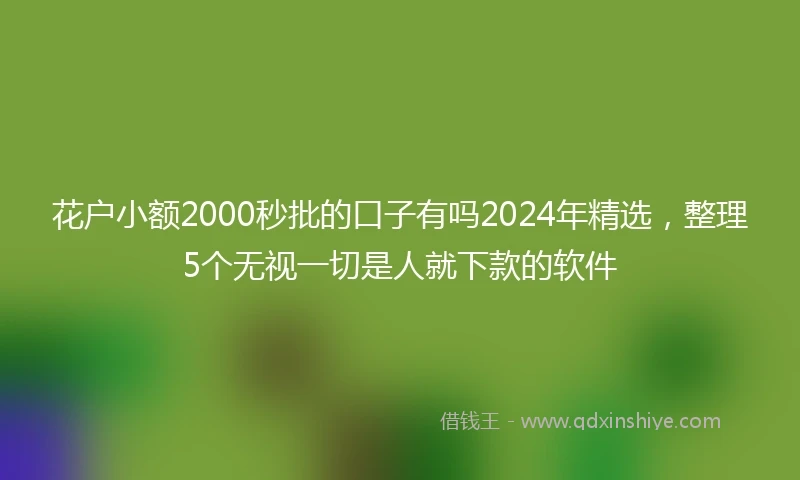 花户小额2000秒批的口子有吗2024年精选，整理5个无视一切是人就下款的软件