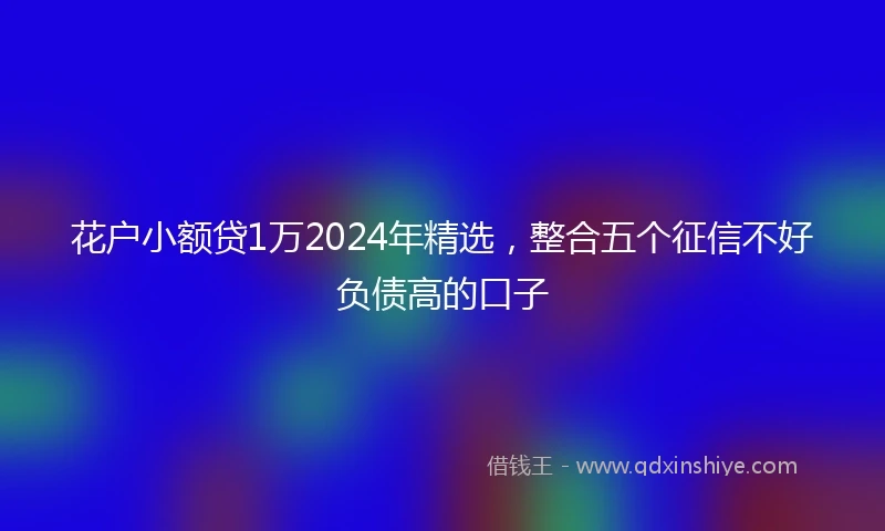 花户小额贷1万2024年精选，整合五个征信不好负债高的口子