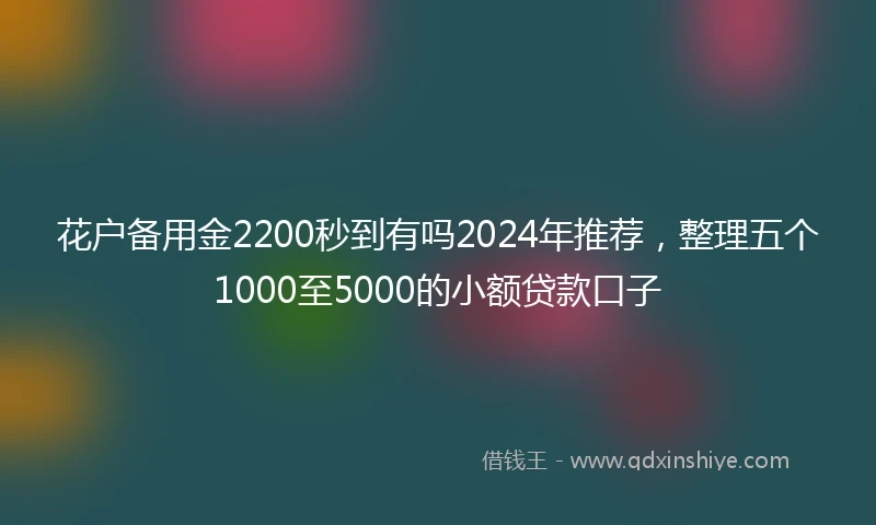 花户备用金2200秒到有吗2024年推荐，整理五个1000至5000的小额贷款口子