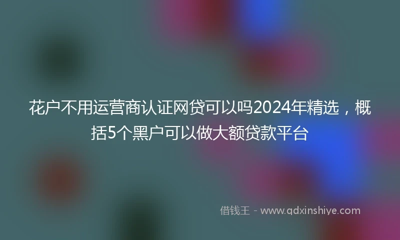 花户不用运营商认证网贷可以吗2024年精选，概括5个黑户可以做大额贷款平台