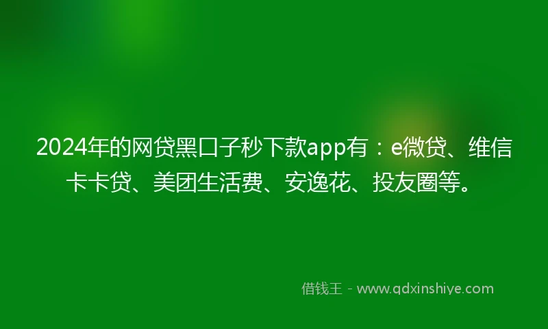 2024年的网贷黑口子秒下款app有：e微贷、维信卡卡贷、美团生活费、安逸花、投友圈等。