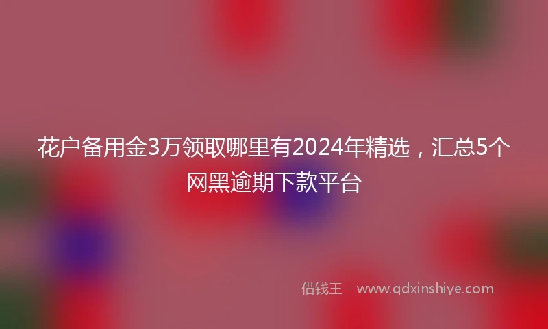花户备用金3万领取哪里有2024年精选，汇总5个网黑逾期下款平台