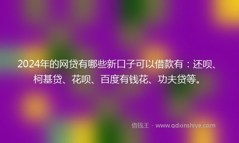 2024年的网贷有哪些新口子可以借款有：还呗、柯基贷、花呗、百度有钱花、功夫贷等。