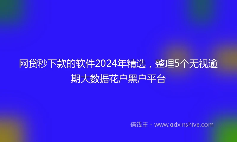 网贷秒下款的软件2024年精选，整理5个无视逾期大数据花户黑户平台
