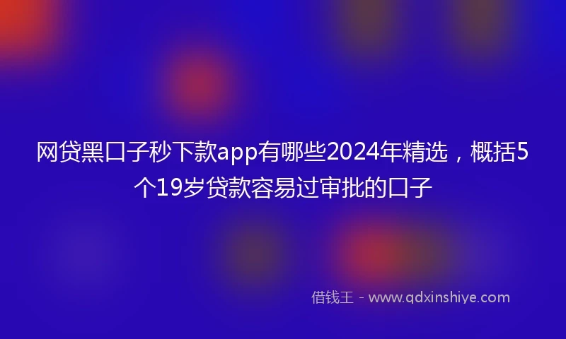 网贷黑口子秒下款app有哪些2024年精选，概括5个19岁贷款容易过审批的口子