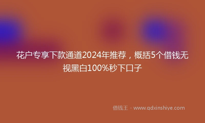 花户专享下款通道2024年推荐，概括5个借钱无视黑白100%秒下口子