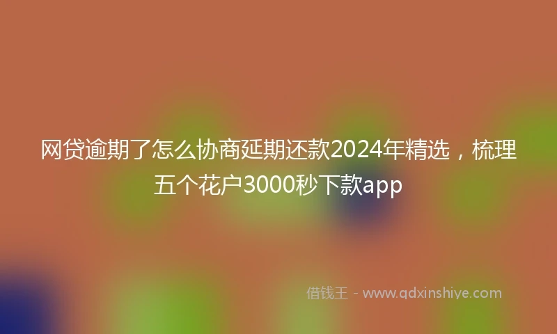 网贷逾期了怎么协商延期还款2024年精选，梳理五个花户3000秒下款app