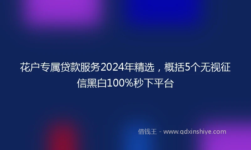 花户专属贷款服务2024年精选，概括5个无视征信黑白100%秒下平台