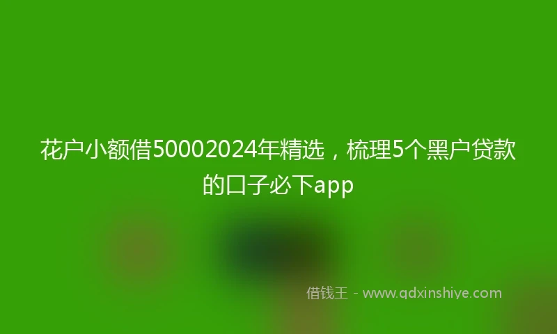 花户小额借50002024年精选，梳理5个黑户贷款的口子必下app