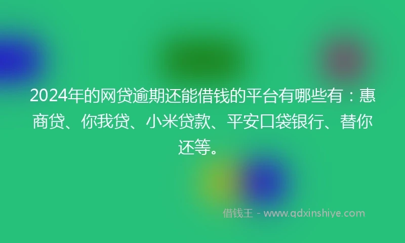 2024年的网贷逾期还能借钱的平台有哪些有：惠商贷、你我贷、小米贷款、平安口袋银行、替你还等。