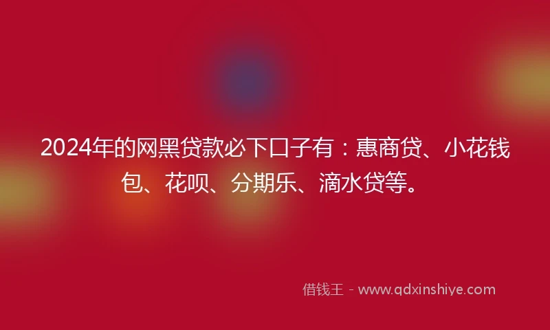 2024年的网黑贷款必下口子有：惠商贷、小花钱包、花呗、分期乐、滴水贷等。