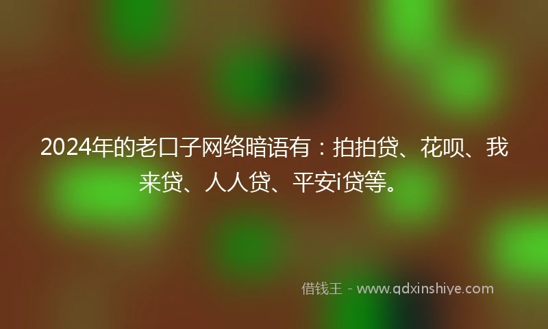 2024年的老口子网络暗语有：拍拍贷、花呗、我来贷、人人贷、平安i贷等。