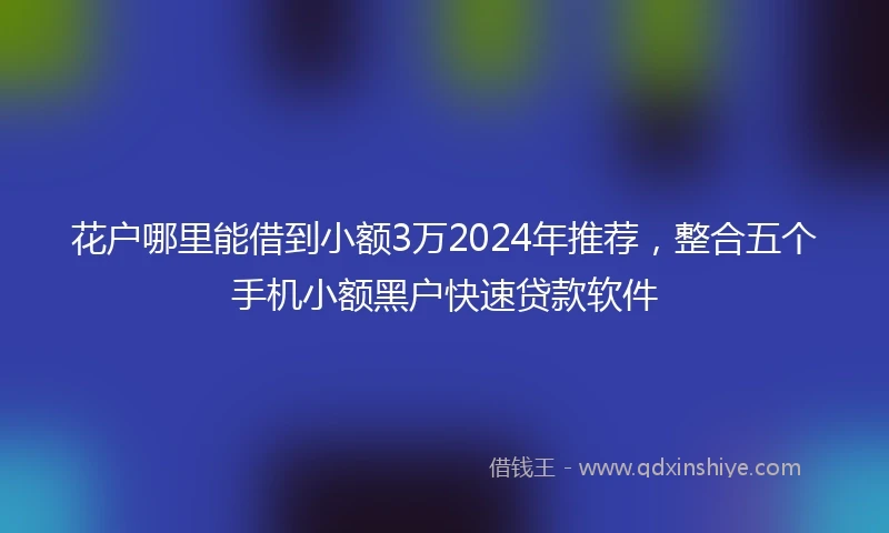 花户哪里能借到小额3万2024年推荐，整合五个手机小额黑户快速贷款软件