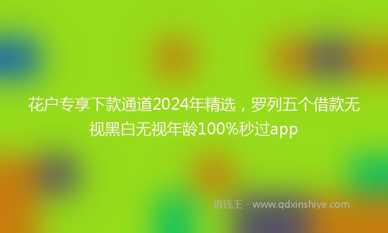 花户专享下款通道2024年精选，罗列五个借款无视黑白无视年龄100%秒过app