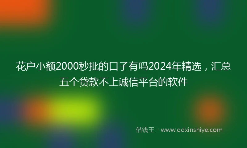 花户小额2000秒批的口子有吗2024年精选，汇总五个贷款不上诚信平台的软件
