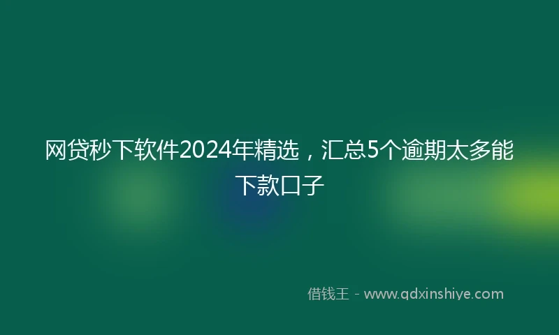 网贷秒下软件2024年精选，汇总5个逾期太多能下款口子