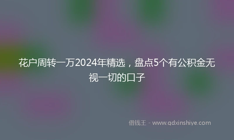花户周转一万2024年精选，盘点5个有公积金无视一切的口子