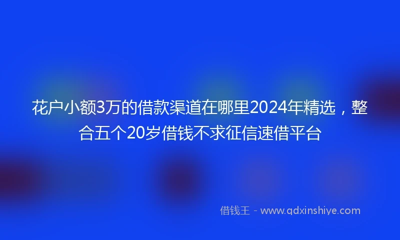 花户小额3万的借款渠道在哪里2024年精选,整合五个20岁借钱不求征信速借平台