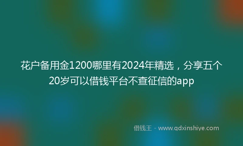 花户备用金1200哪里有2024年精选，分享五个20岁可以借钱平台不查征信的app