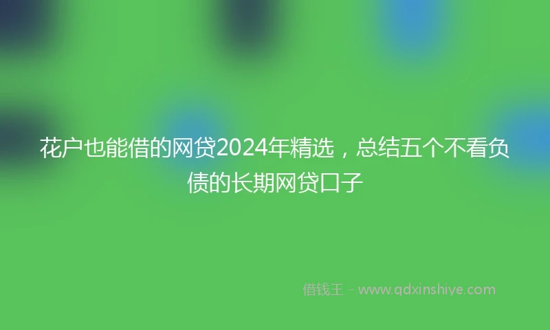 花户也能借的网贷2024年精选，总结五个不看负债的长期网贷口子