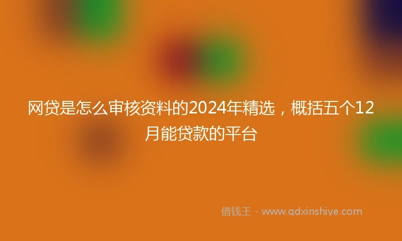 网贷是怎么审核资料的2024年精选，概括五个12月能贷款的平台