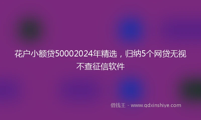 花户小额贷50002024年精选,归纳5个网贷无视不查征信软件
