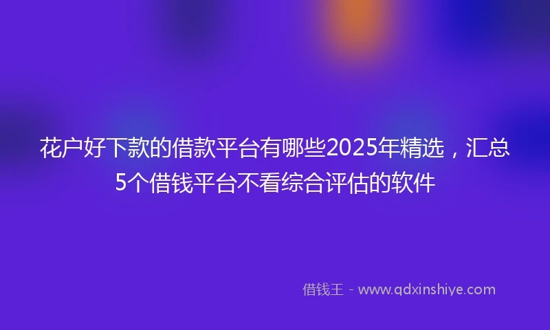 花户好下款的借款平台有哪些2025年精选，汇总5个借钱平台不看综合评估的软件