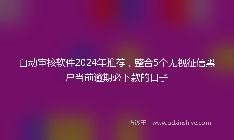 自动审核软件2024年推荐，整合5个无视征信黑户当前逾期必下款的口子