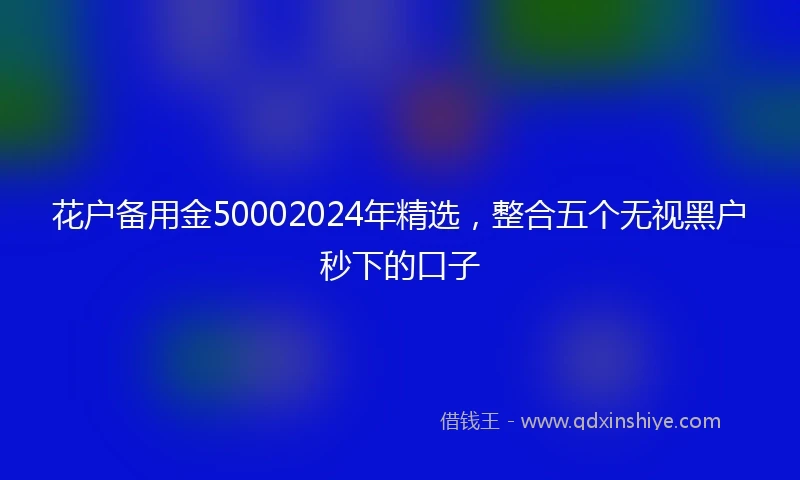花户备用金50002024年精选，整合五个无视黑户秒下的口子