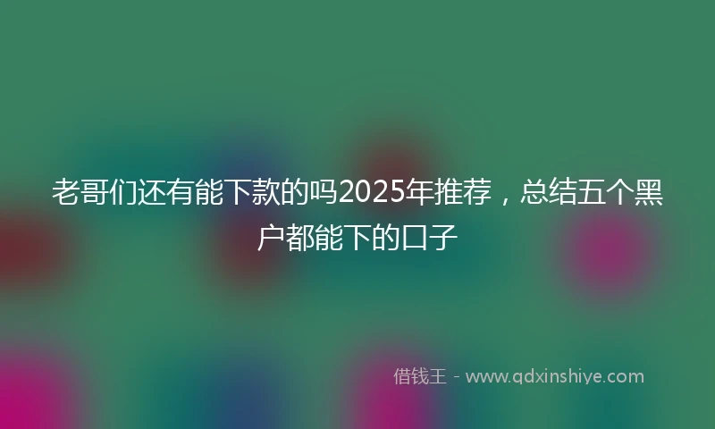 老哥们还有能下款的吗2025年推荐，总结五个黑户都能下的口子