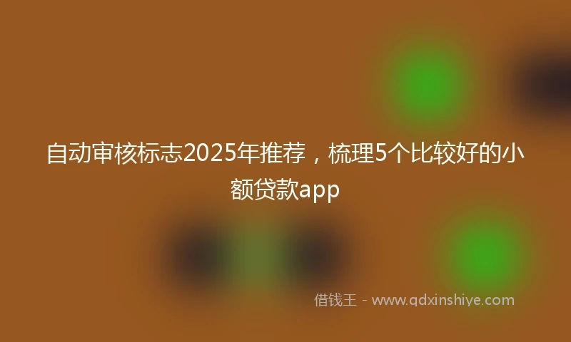 自动审核标志2025年推荐，梳理5个比较好的小额贷款app