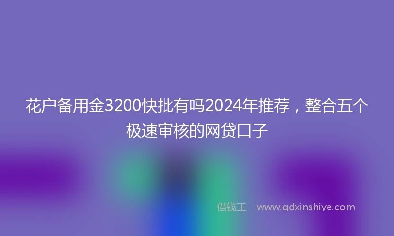 花户备用金3200快批有吗2024年推荐，整合五个极速审核的网贷口子