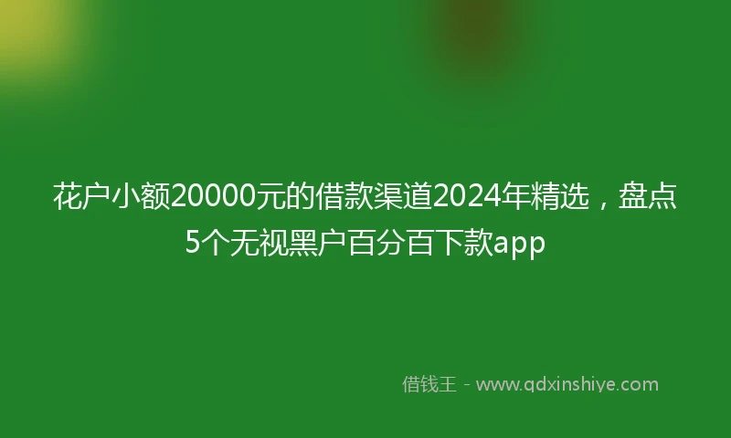 花户小额20000元的借款渠道2024年精选，盘点5个无视黑户百分百下款app