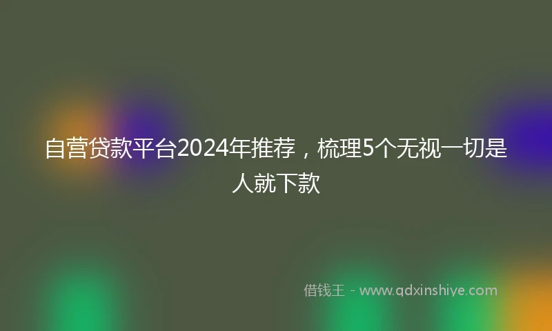 自营贷款平台2024年推荐，梳理5个无视一切是人就下款