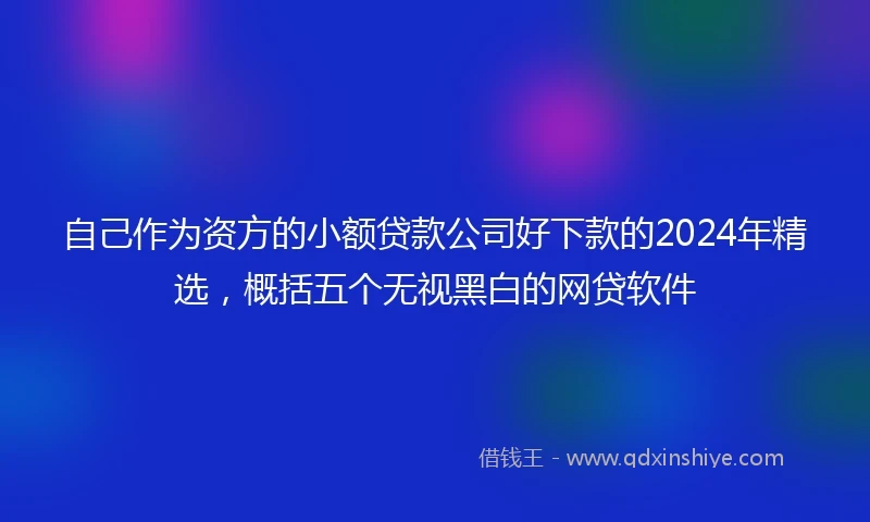 自己作为资方的小额贷款公司好下款的2024年精选，概括五个无视黑白的网贷软件