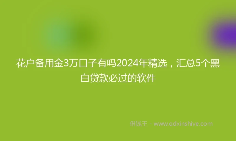 花户备用金3万口子有吗2024年精选,汇总5个黑白贷款必过的软件