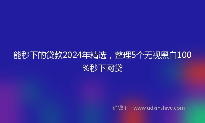 能秒下的贷款2024年精选，整理5个无视黑白100%秒下网贷