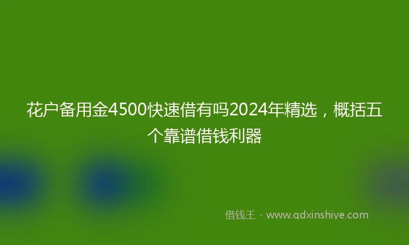 花户备用金4500快速借有吗2024年精选，概括五个靠谱借钱利器